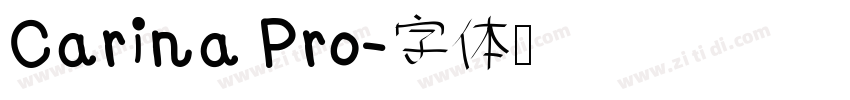 Carina Pro字体转换